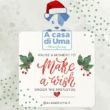 Buon terzo Natale con la nostra Toelettatura Naturale per cani! - A Casa di Uma